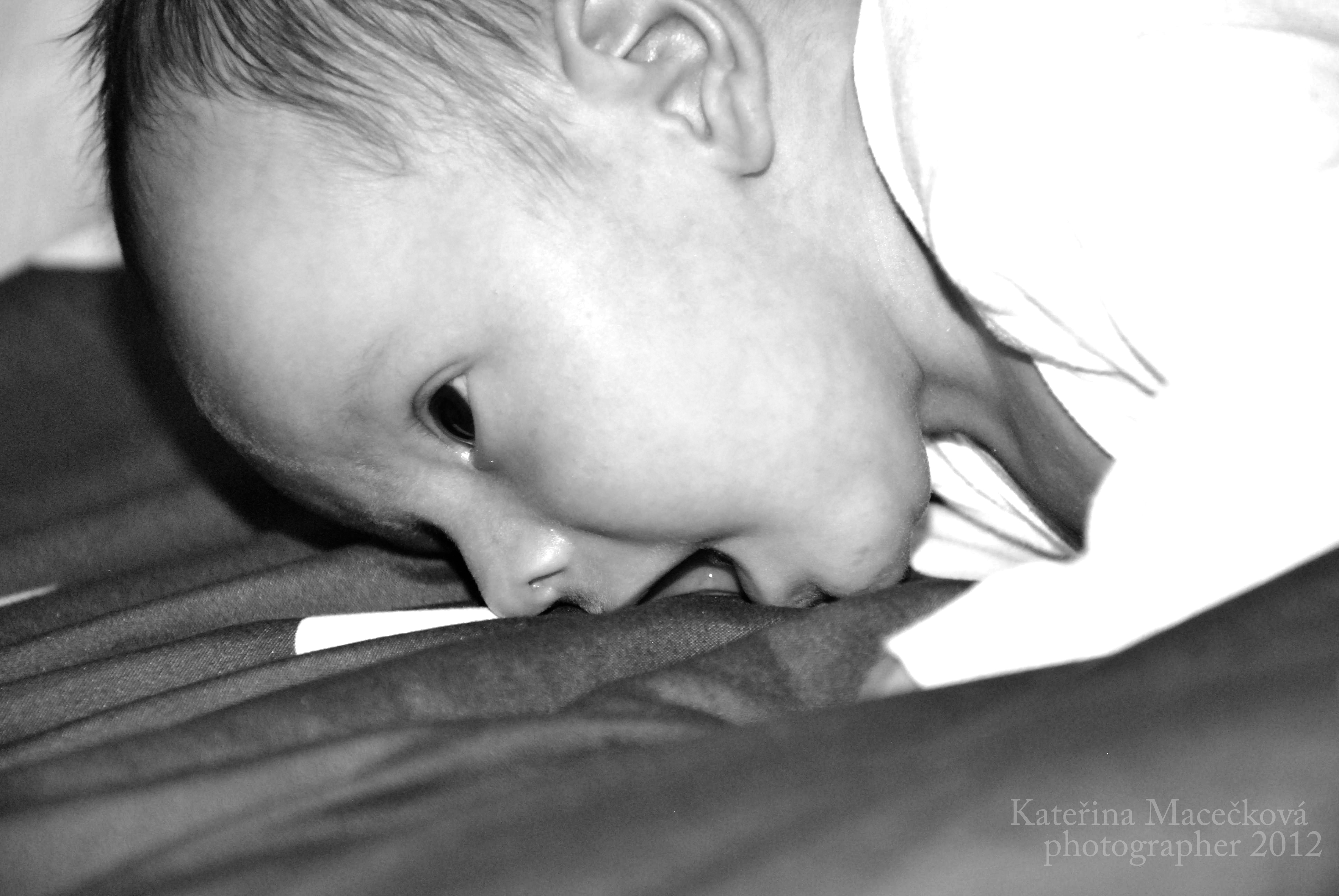 DSC_4931 2 kmp
